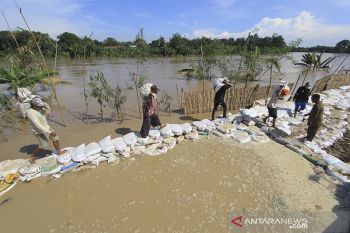 Warga gotong royong perbaiki tanggul