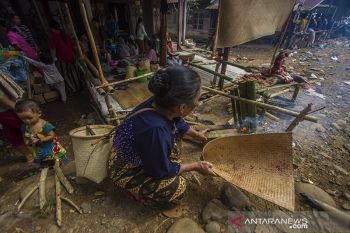 Tradisi Membatur Suku Dayak Pitap