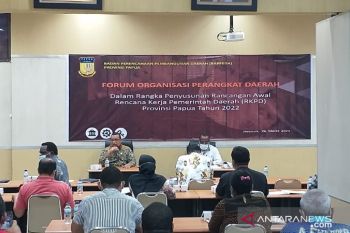 Pemprov Papua minta OPD maksimalkan program pemerintah pusat