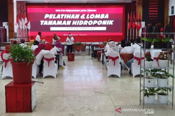 Tingkatkan produksi pangan, PDIP Jateng berikan pelatihan hidroponik