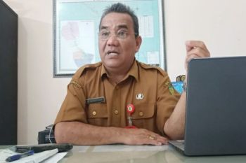 Berikut realisasi pajak sarang walet di Palangka Raya