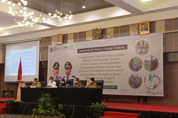 Sumbar upayakan peningkatan ekonomi daerah melalui perhutanan sosial