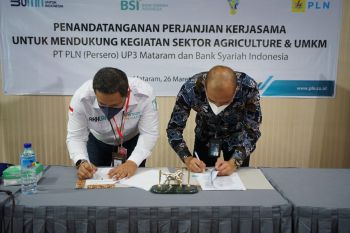 PLN gandeng BSI membantu pengembangan sektor UMKM Lombok