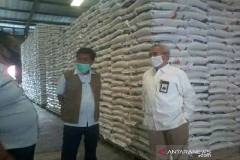 Bulog Sulteng  akui serapan beras petani belum maksimal