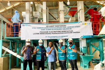 PLN dorong program dedieselisasi pelaku usaha pertanian di Papua