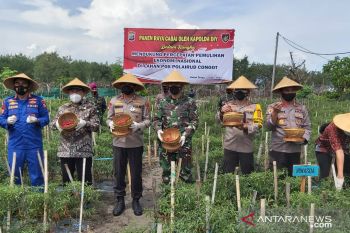 Kapolda DIY panen cabai di lahan pasir Pos Polairud Congot