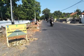 Pemkot Mataram mengingatkan pelaksana proyek segera ganti pohon ditebang