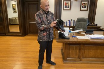 Teten Masduki, Gernas BBI, dan keyakinan produk UMKM selalu paten
