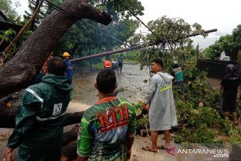 PLN UIW Sulselbar pulihkan 96 persen gardu listrik terdampak cuaca ekstrem