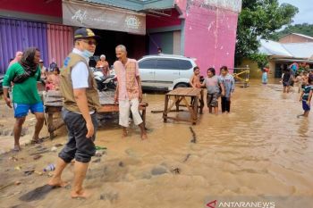 Gubernur NTB meninjau lokasi banjir Bima