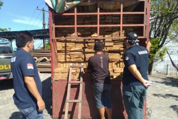 Balai Gakkum KLHK Sulawesi tahan pelaku perdagangan kayu dari Luwu Timur