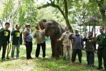 Komipo Indonesia collaborates with the RuKo to distribute aid to PKG Way Kambas