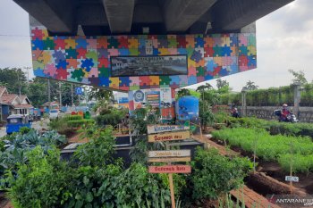 "Urban Farming" tak sekadar memanfaatkan lahan kosong, lingkungan pun lebih indah bersih