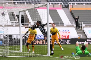 Tottenham diimbangi Newcastle 2-2