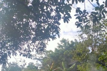 Kearifan lokal muslim banjar ziarah kubur jelang Ramadhan masih terpelihara
