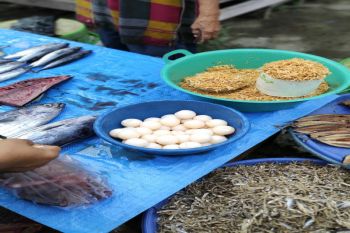 Sahabat Penyu temukan telur penyu di jual di pasar tradisional Majene Sulbar