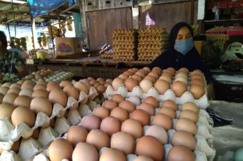 Harga telur ayam ras di Makassar bergerak turun jelang Ramadhan 1442 H