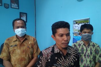 Payakumbuh terus melakukan penataan pohon pelindung yang rawan