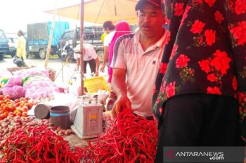 Jelang Ramadhan, harga cabai merah di Solok Selatan mahal