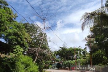 PLN sesalkan pemadaman listrik di perayaan Paskah Jayapura