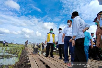 Menko Marves:Presiden berpesan food estate Kalteng harus jalan
