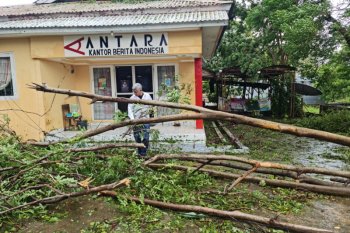 Warga Kupang bayar Rp5 ribu untuk  mengecas telepon seluler