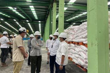Kementan dukung lumbung pangan "food estate" di Sumsel