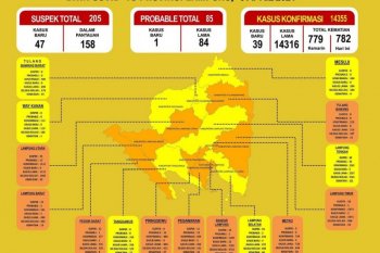 Jumlah pasien COVID-19 di Lampung bertambah 39 orang