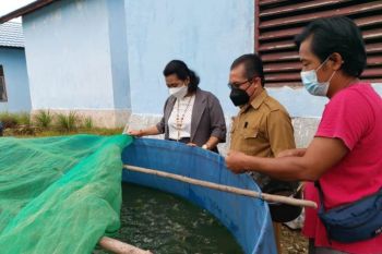 Legislator sarankan DPKP Gumas fleksibel menentukan syarat penerima bantuan