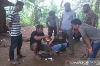 Dua orang terduga  pengedar sabu dan ganja di Lembah Melintang, ditangkap polisi
