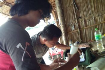 Mahasiswa Polbangtan Malang kembangkan inovasi teknologi di Lingga