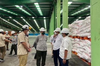 Wamentan pastikan stok pupuk Pusri penuhi kebutuhan petani