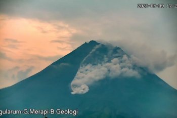 Gunung Merapi dua kali meluncurkan awan panas guguran hingga 1,8 km