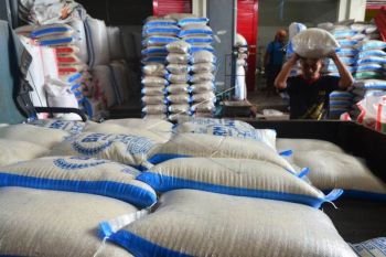 Harga beras
