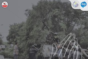 Warga Boven Digoel galang dana bantuan kemanusiaan bencana alam NTT
