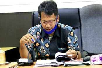 Raperda pedoman perizinan perkebunan berkelanjutan terus dimatangkan