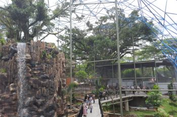 Bukittinggi optimalkan fasilitas TMSBK guna tingkatkan pengunjung