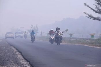 Maksimalkan peran Kelurahan Siaga antisipasi karhutla di Palangka Raya