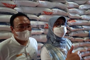 Bulog pastikan stok bapok aman hadapi Lebaran