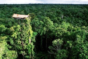 Kansius Bunman kembali ke Papua ingin bangun kampung halaman