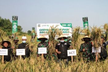 Pemprov Jatim perkirakan produksi padi capai 12,7 Juta ton pada 2025