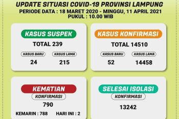 Pasien positif COVID-19 di Lampung terus bertambah, kini jumlah total jadi 14.510 kasus