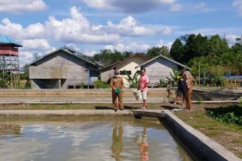 DPKP Kabupaten Gumas paparkan analisa laba budi daya ikan
