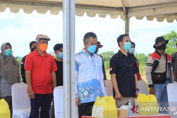 Wali Kota Tarakan Harapkan Produksi Udang Black Tiger Dapat Meningkat