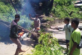 Artikel - Kala kekuatan gotong-royong mengembalikan terang yang sirna karena bencana