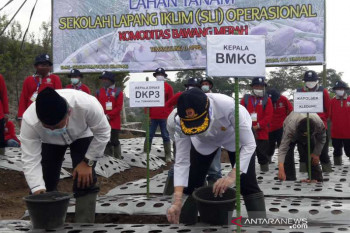 BMKG:  Petani bisa manfaatkan masa pancaroba untuk bertanam