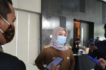 Wagub Lampung imbau masyarakat tidak mudik lebih awal