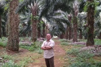 Astra Agro  jamin bersikap netral dalam PSU Morowali Utara