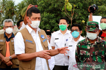 Begini pentingnya membangun mitigasi berbasis vegetasi antisipasi tsunami, menurut Kepala BNPB