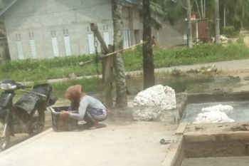 Harga getah karet di Mesuji turun